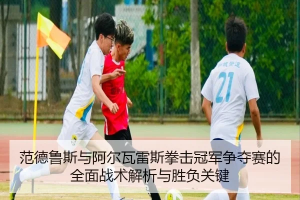 范德鲁斯与阿尔瓦雷斯拳击冠军争夺赛的全面战术解析与胜负关键 | 2026 LOL